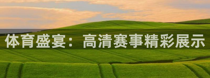24直播nba：体育盛宴：高清赛事精彩展示