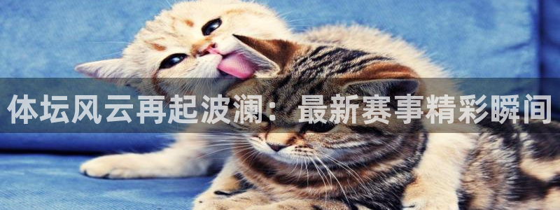 114624直播：体坛风云再起波澜：最新赛事精彩瞬间