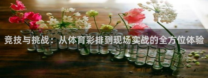 24直播网乒乓球直播：竞技与挑战：从体育彩排到现场实战的全方位体验