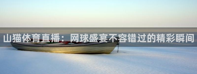 nba在线观看免费观看24直播网：山猫体育直播：网球盛宴不容错过的精彩瞬间