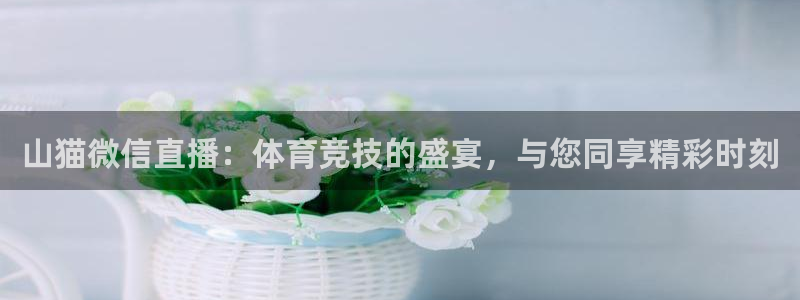 24直播吧nba直播：山猫微信直播：体育竞技的盛宴，与您同享精彩时刻