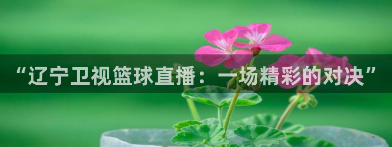24直播网乒乓球直播：“辽宁卫视篮球直播：一场精彩的对决”